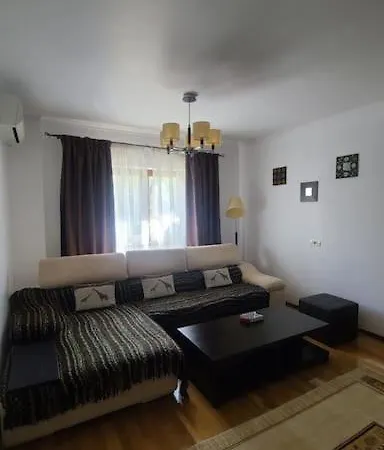 Cozy Homy Apartment *