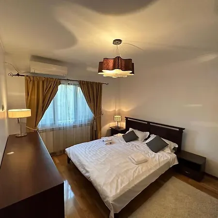Cozy Homy Apartment